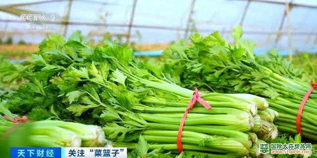 圖片3