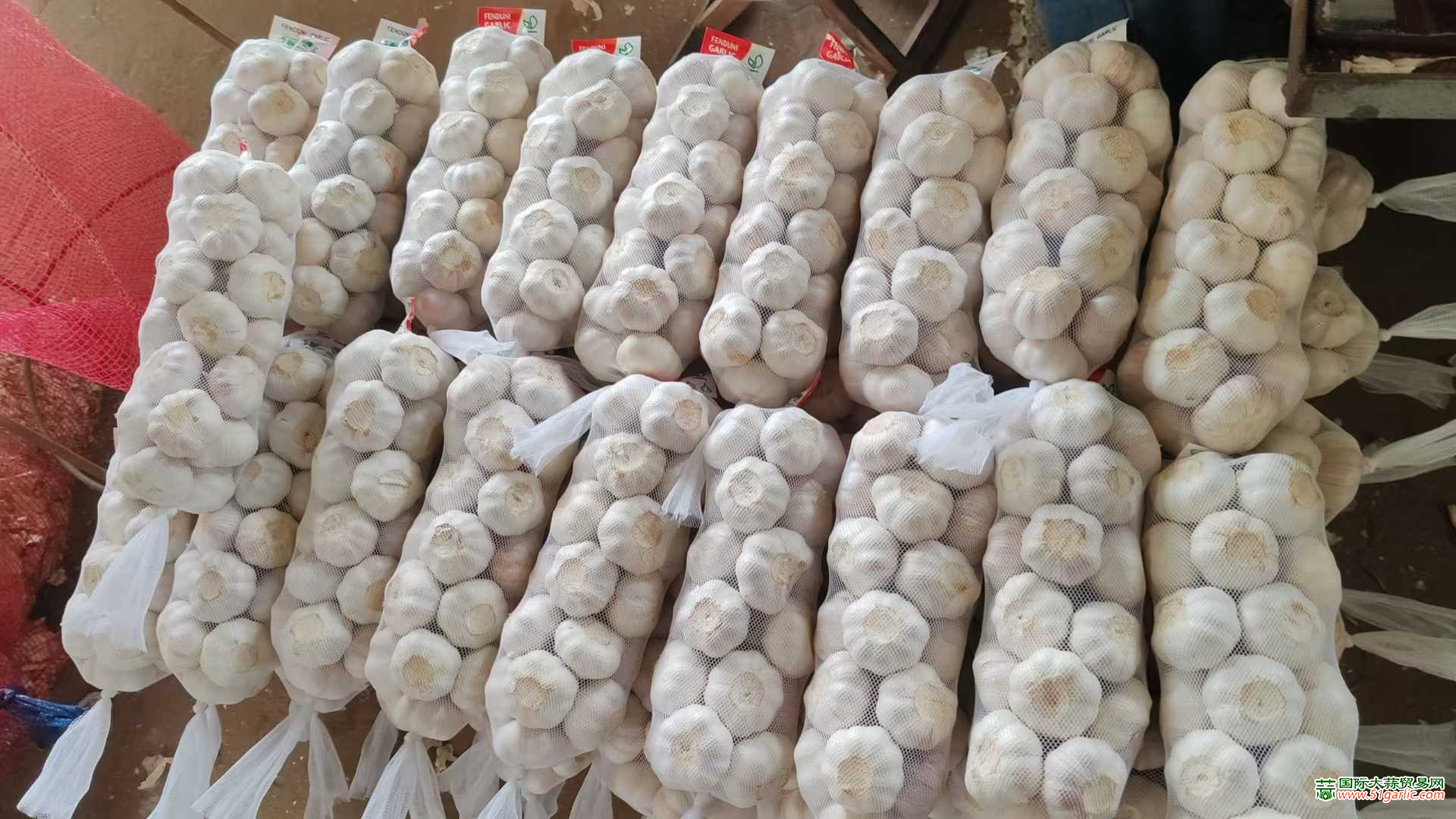 圖片5